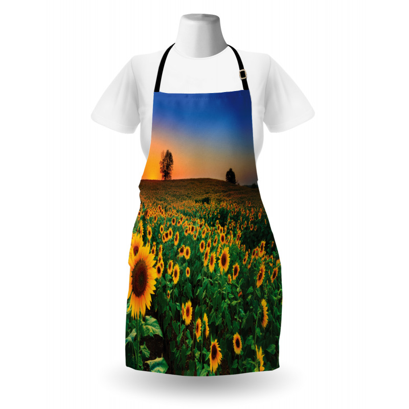 Flower Field at Sunset Apron