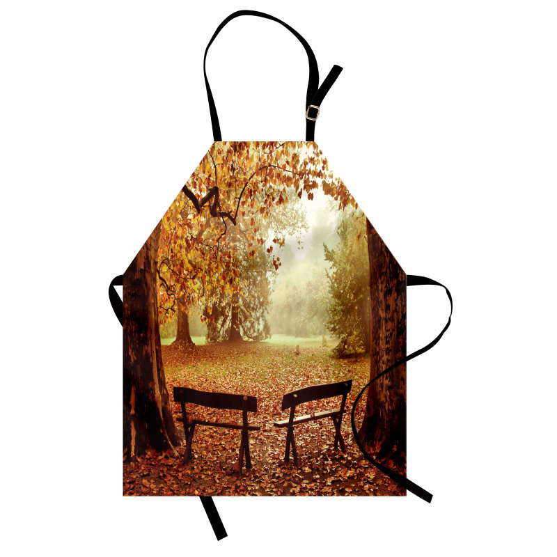 Dramatic Trees and Benches Apron