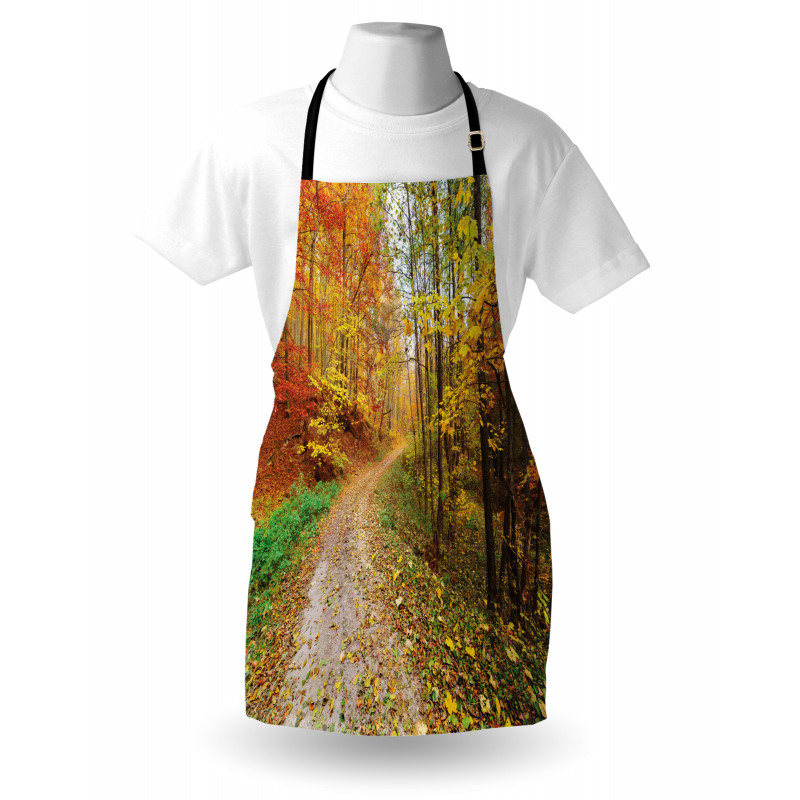 Colorful Autumnal Landscape Apron