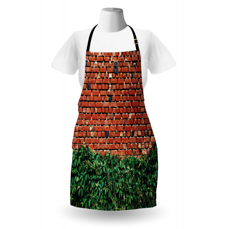 Wall with Green Leaves Apron