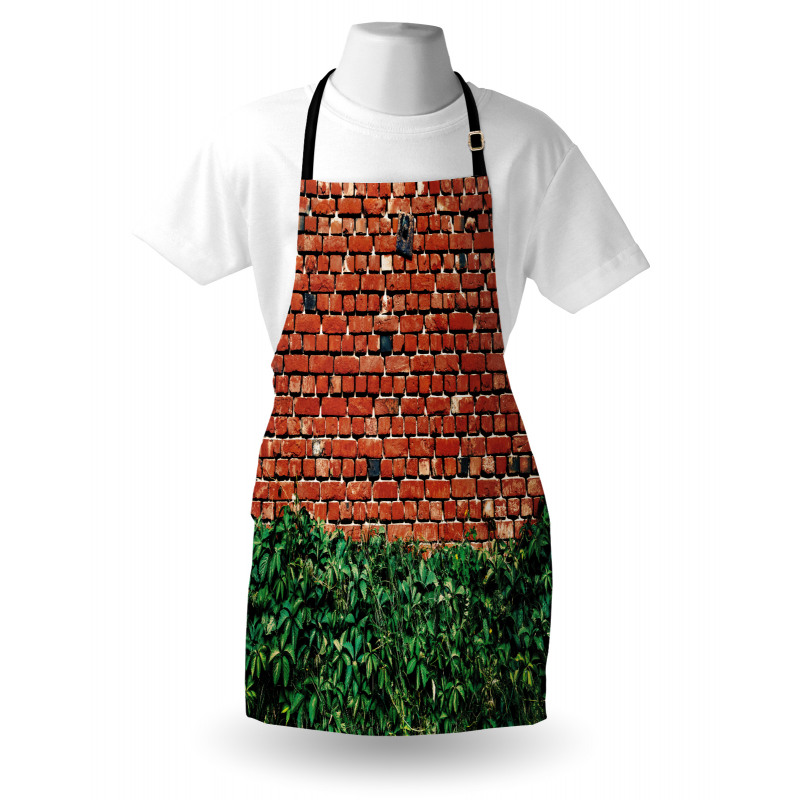 Wall with Green Leaves Apron