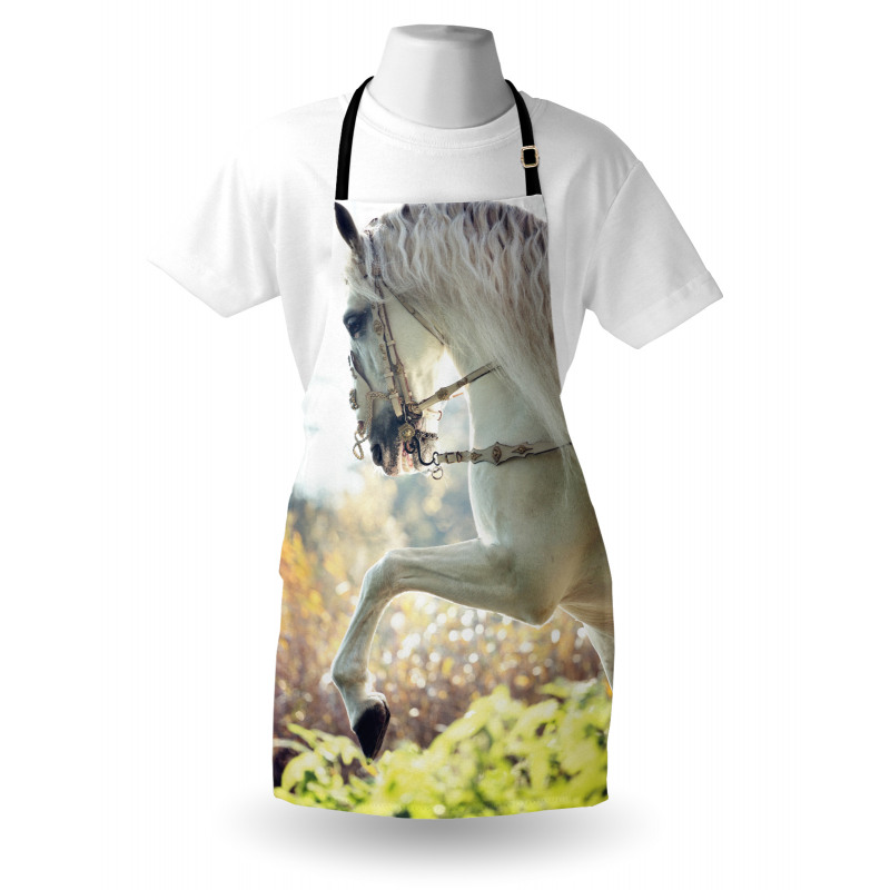 Horse on a Blurry Back Apron