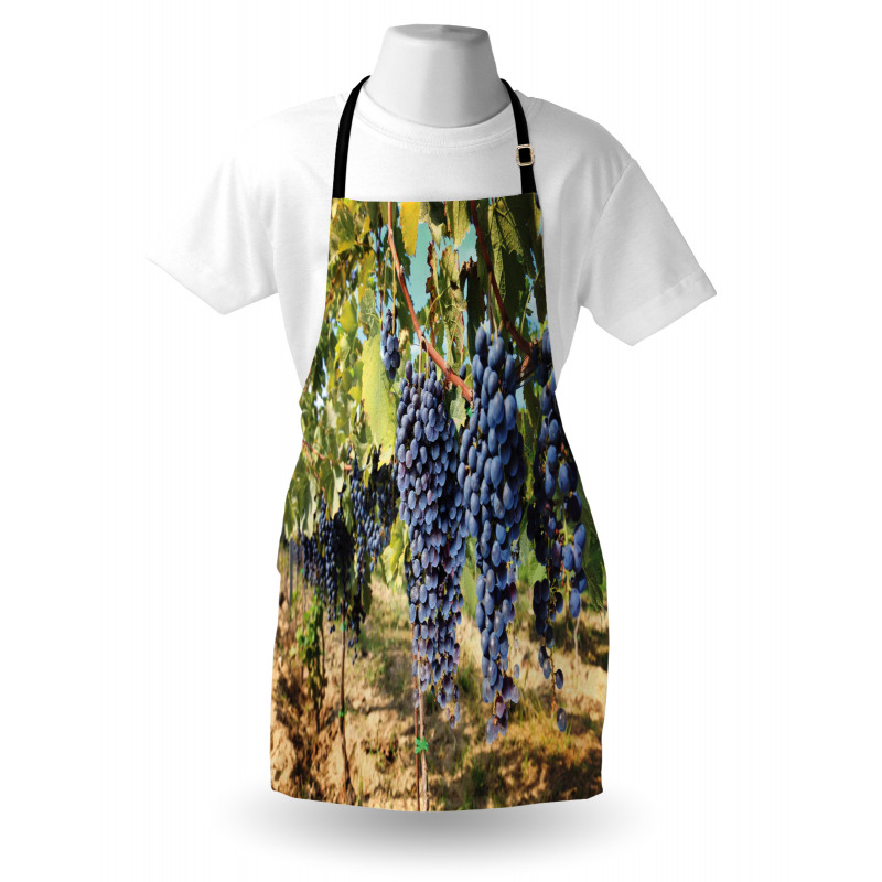 Rows of Wine Fruits in Italy Apron