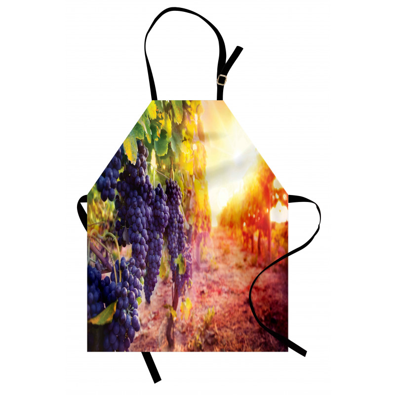 Grape in Countryside Vineyard Apron