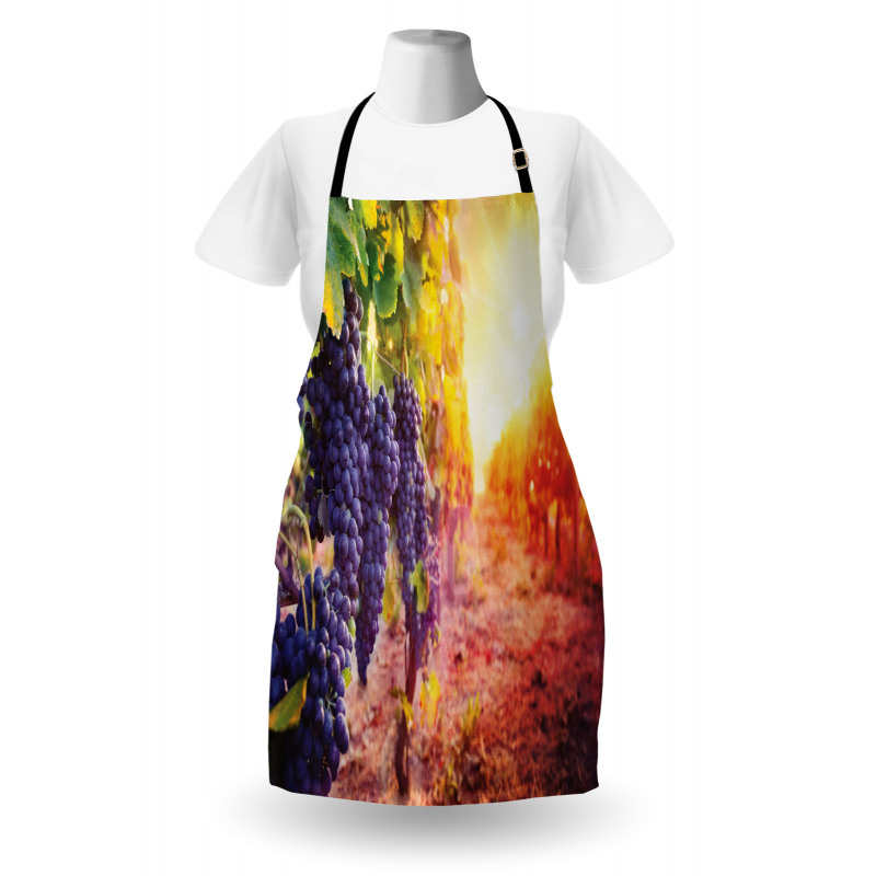 Grape in Countryside Vineyard Apron