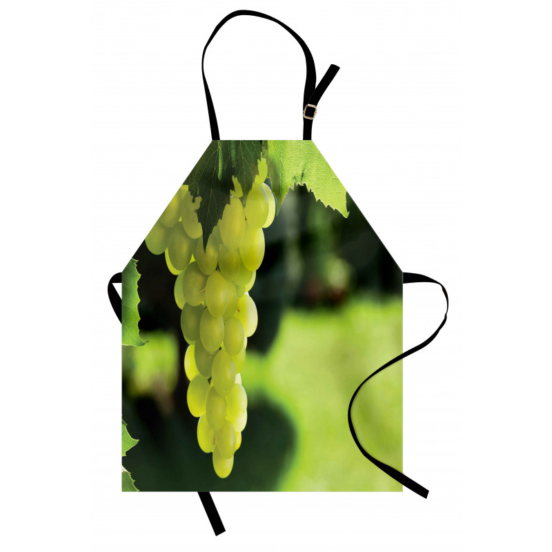 Bunch of Fruits Hanging Photo Apron