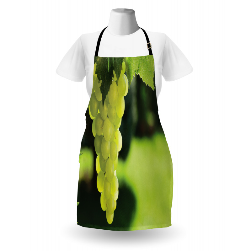 Bunch of Fruits Hanging Photo Apron