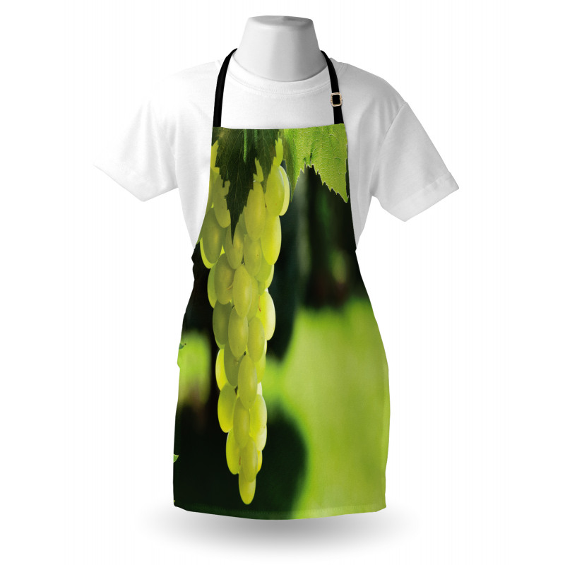 Bunch of Fruits Hanging Photo Apron