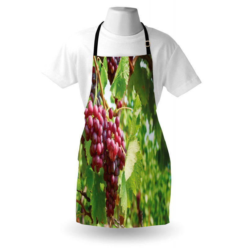 Bunch of Wine Fruits Foliage Apron