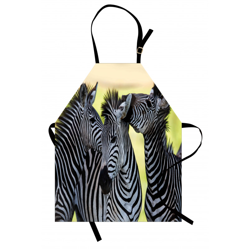 Zebras Wild Nature Apron