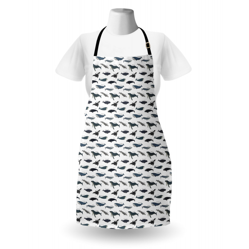 Type of Fish Grey Fin Killer Apron