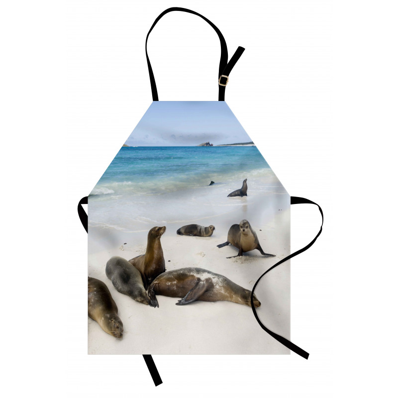 Galapagos Island Sea Lions Apron