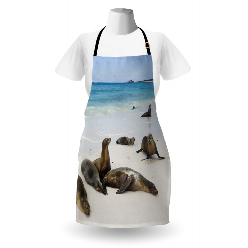 Galapagos Island Sea Lions Apron