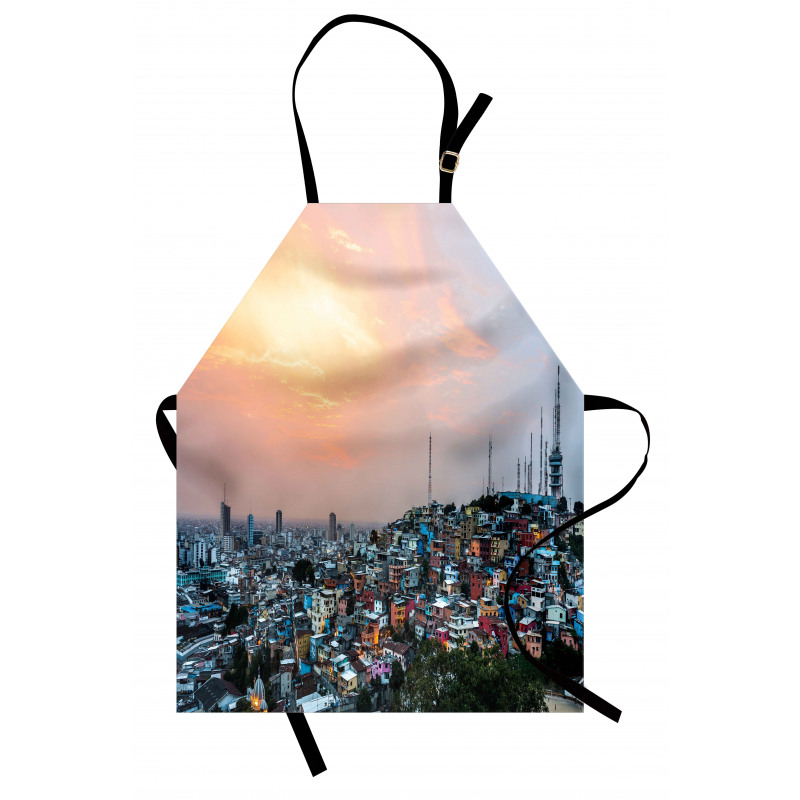 Guayaquil City at Sunset Apron