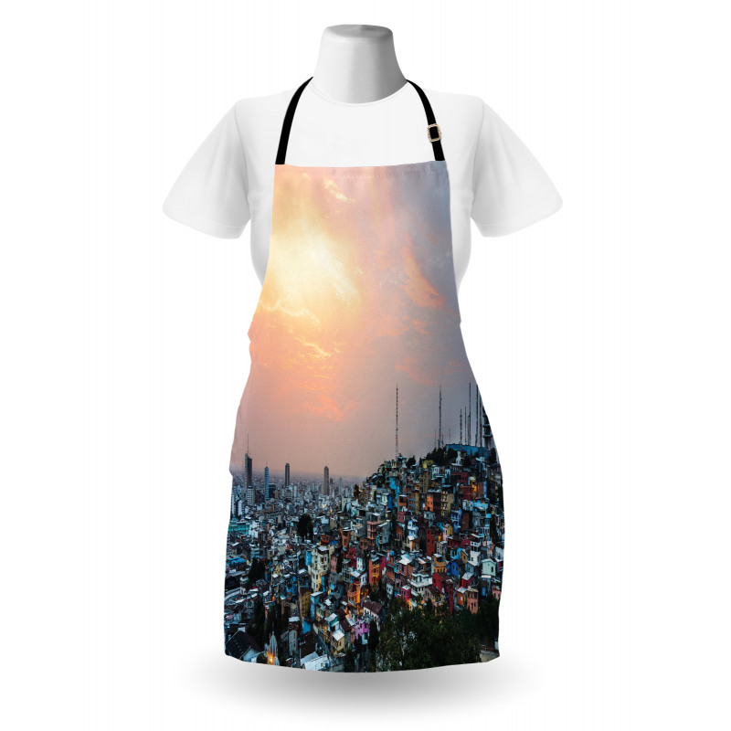 Guayaquil City at Sunset Apron