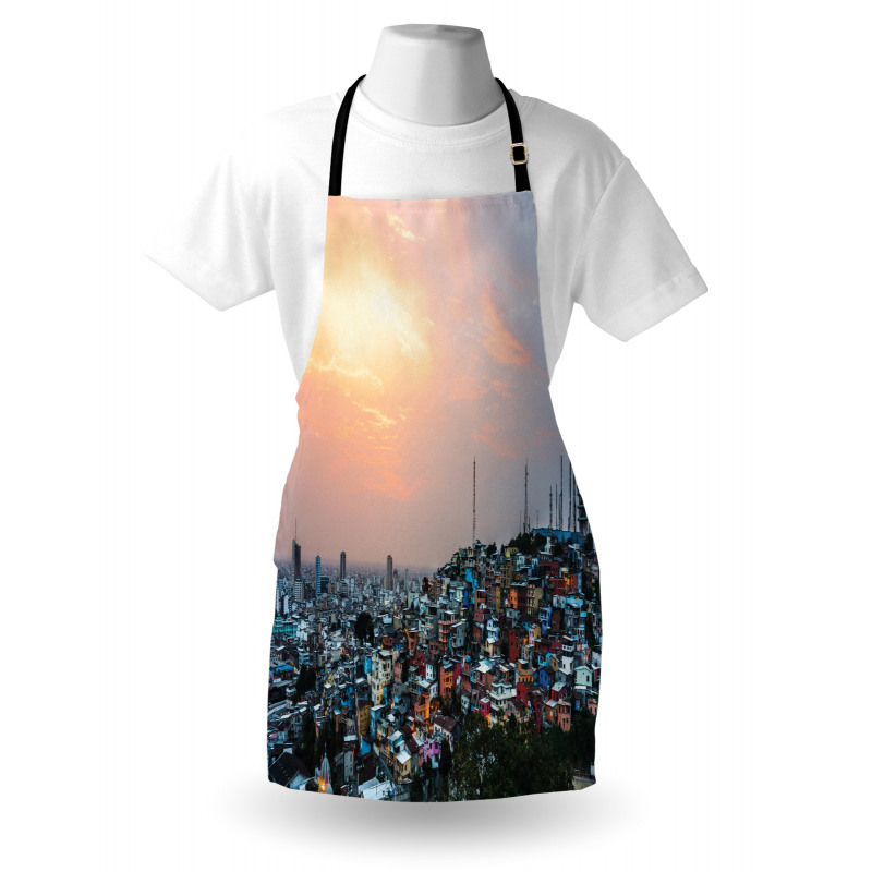 Guayaquil City at Sunset Apron