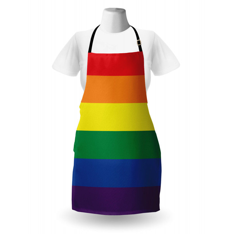 Simplistic Design LGBT Flag Apron