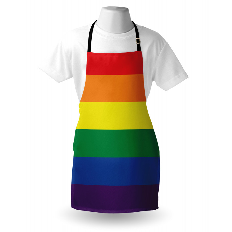 Simplistic Design LGBT Flag Apron