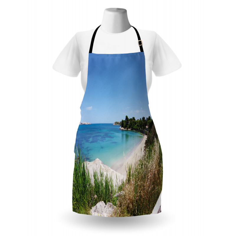 Panoramic Sandy Coastline Apron