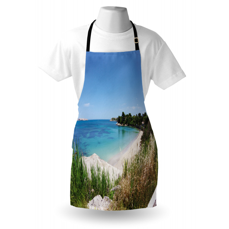 Panoramic Sandy Coastline Apron