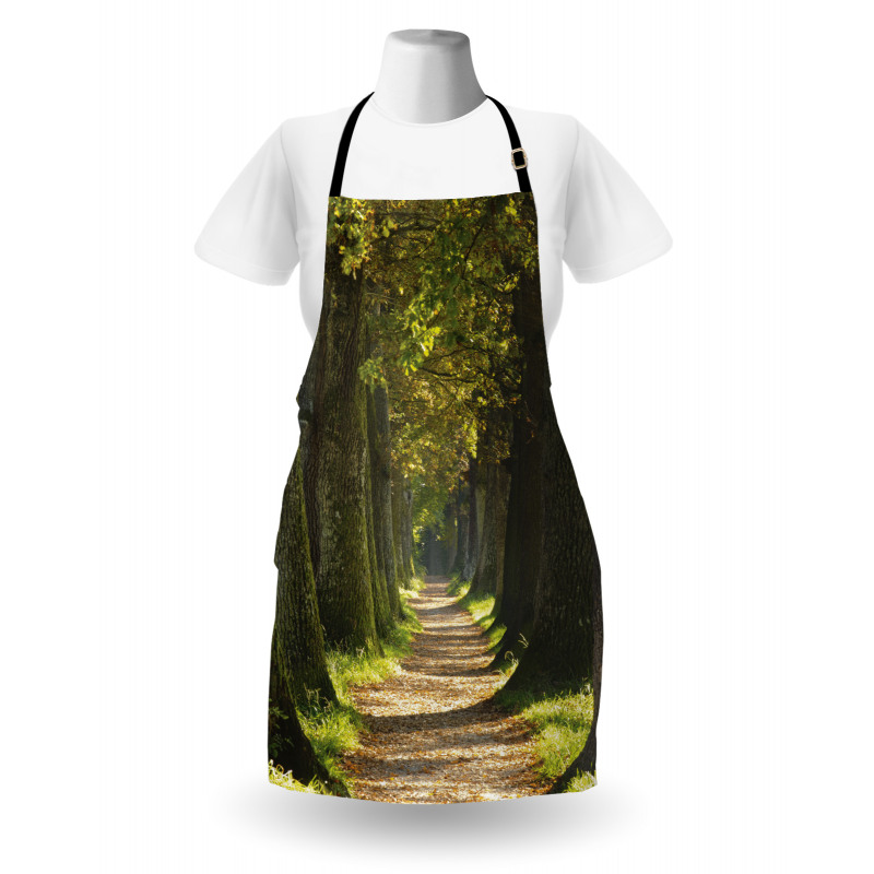 Alley with Oak Trees Apron