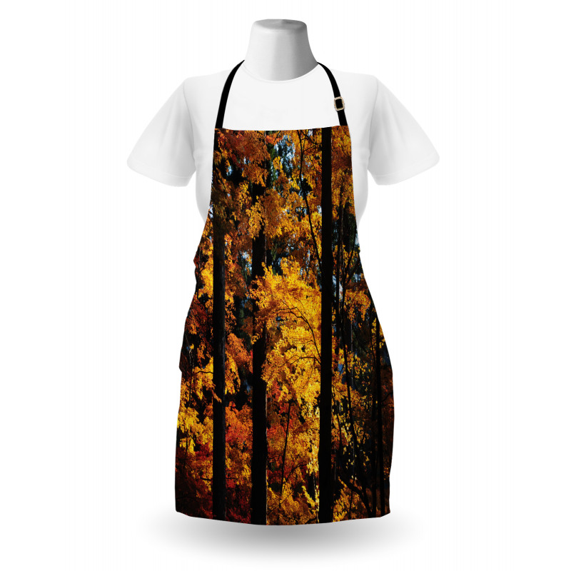 Fall Tranquil Countryside Apron