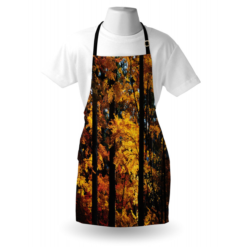 Fall Tranquil Countryside Apron