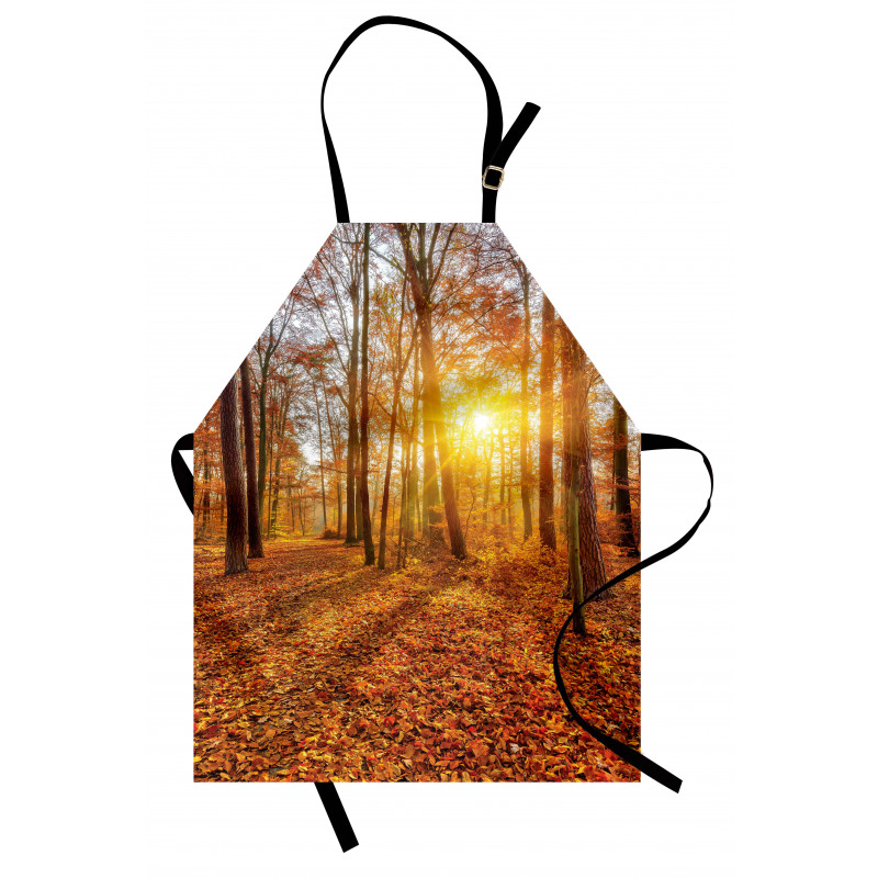 Foggy Sunset Sunbeams Apron