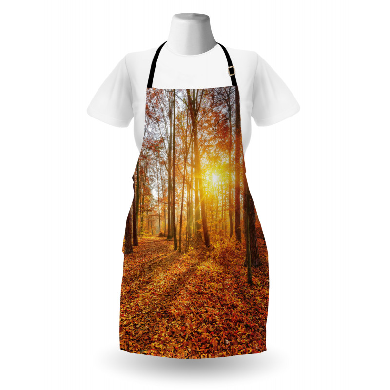 Foggy Sunset Sunbeams Apron