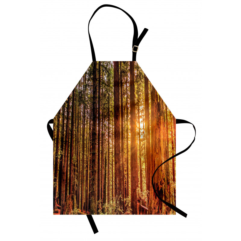 Redwoods Forestry Apron