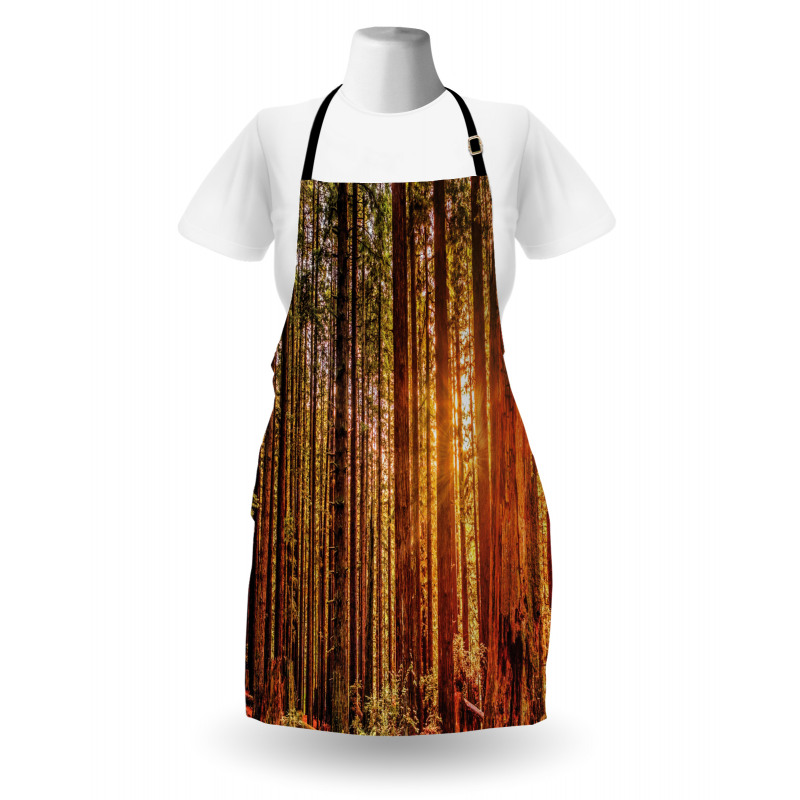 Redwoods Forestry Apron