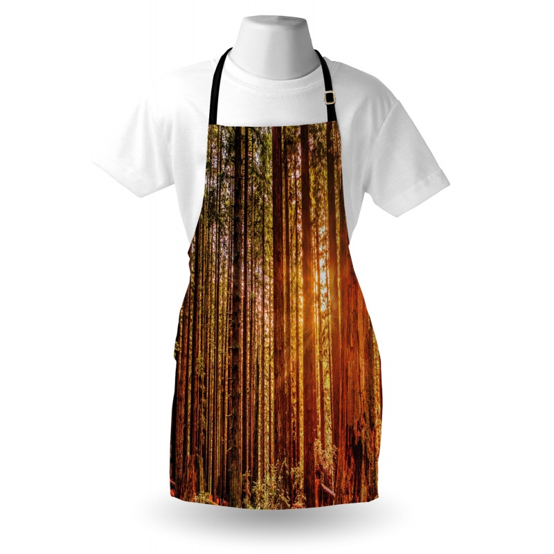 Redwoods Forestry Apron