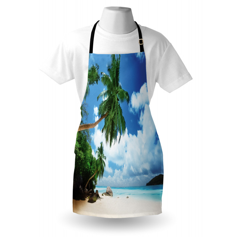 Beach on Mahe Island Apron