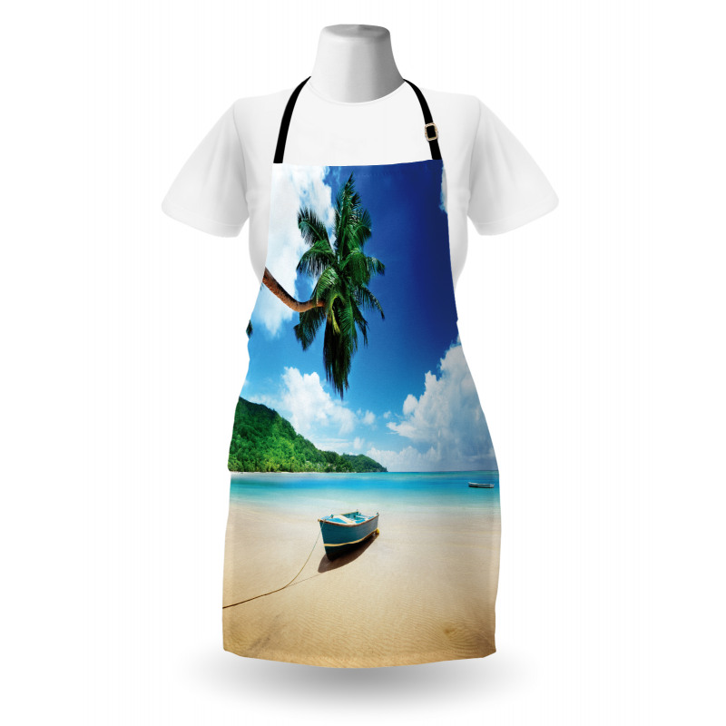 Boat on Beach Mahe Island Apron