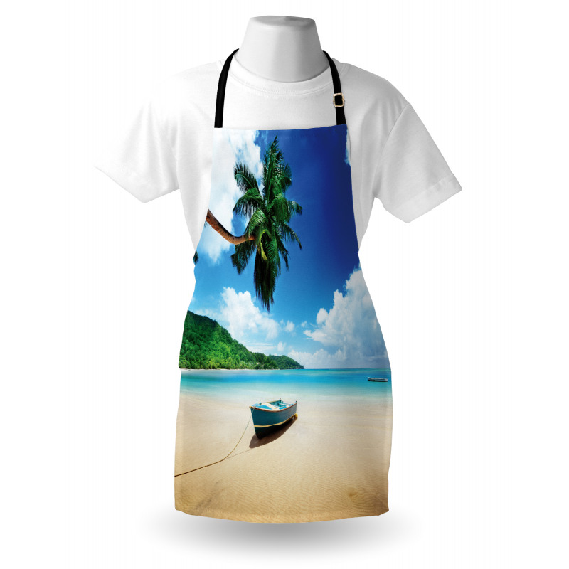 Boat on Beach Mahe Island Apron