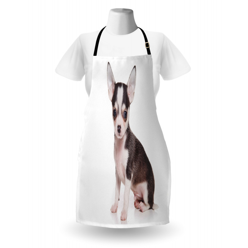 Ears Innocent Eyes Apron