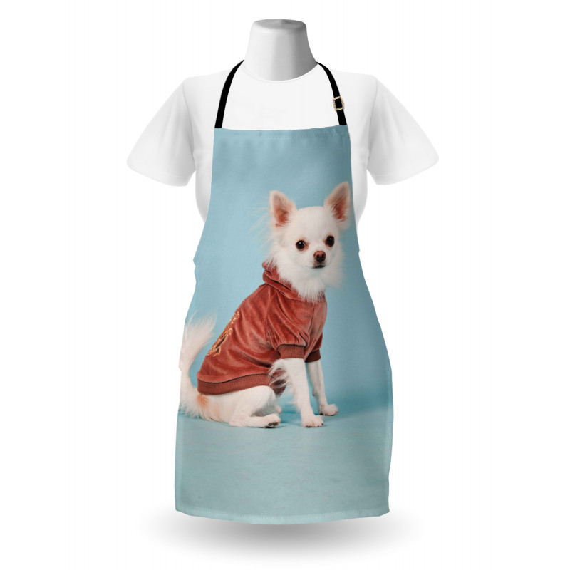 Puppy with Clothes Apron