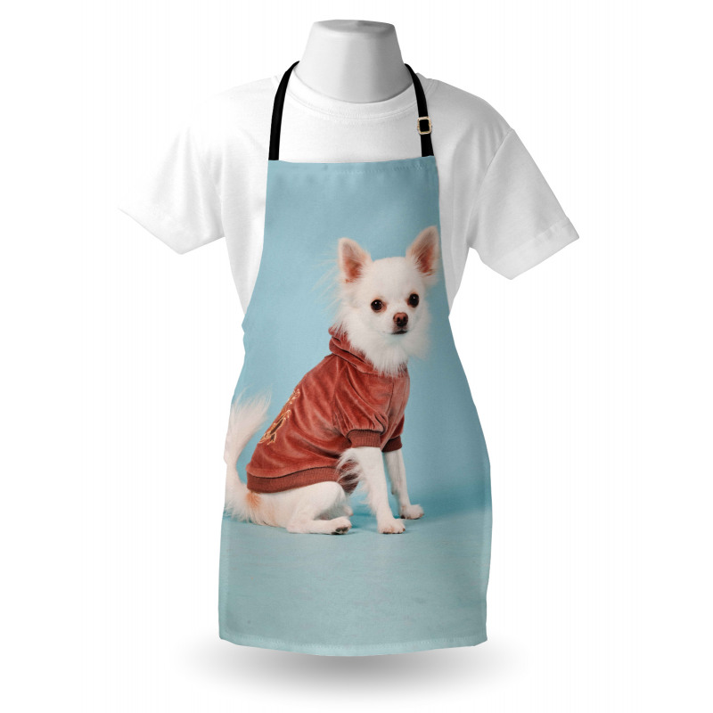 Puppy with Clothes Apron