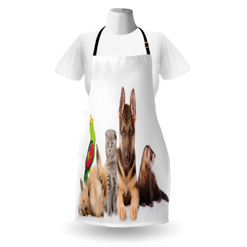 Bunnies Cat Dog and Ferret Apron