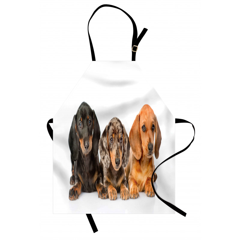 Different Color Dogs Lays Apron