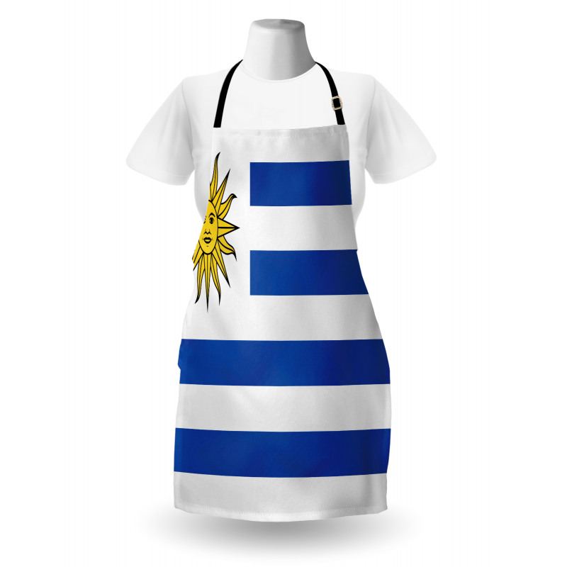 Simple Stripes and Sun Flag Apron