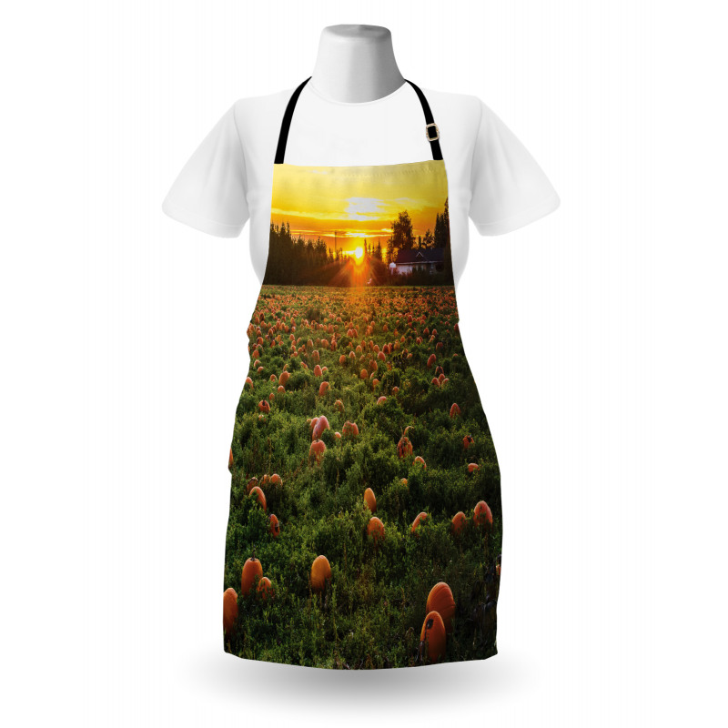 Fall Patch at Sunset Apron