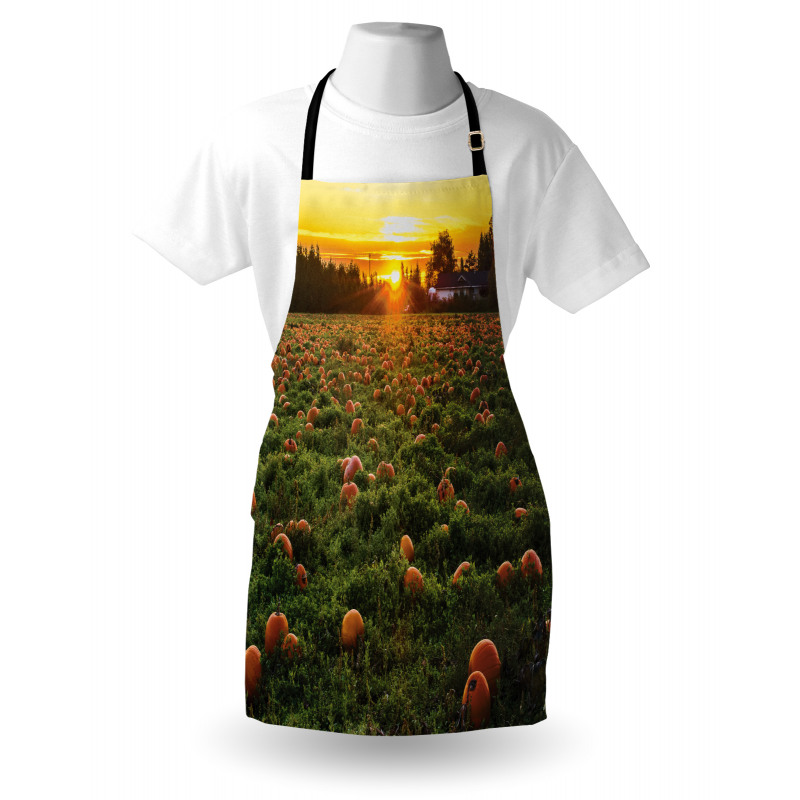 Fall Patch at Sunset Apron