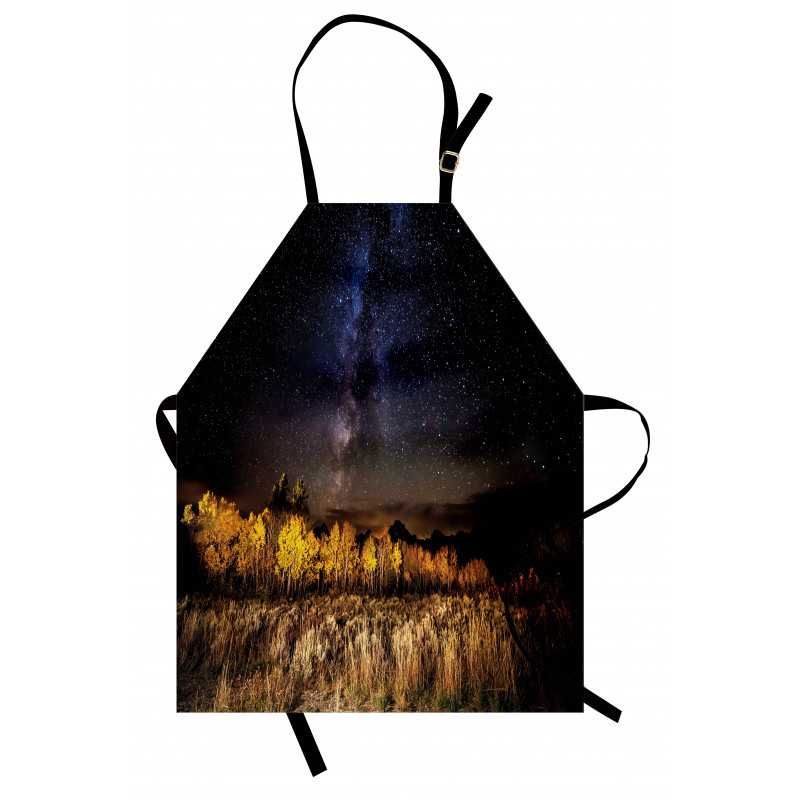 Milky Way Aspens and Tetons Apron