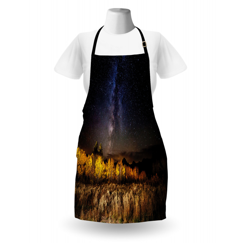 Milky Way Aspens and Tetons Apron