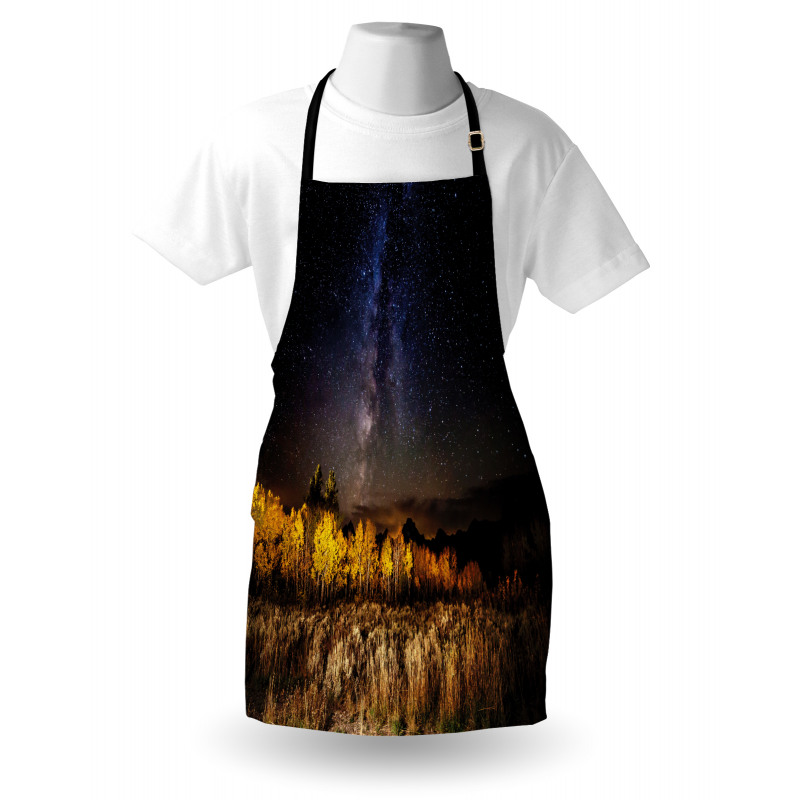 Milky Way Aspens and Tetons Apron