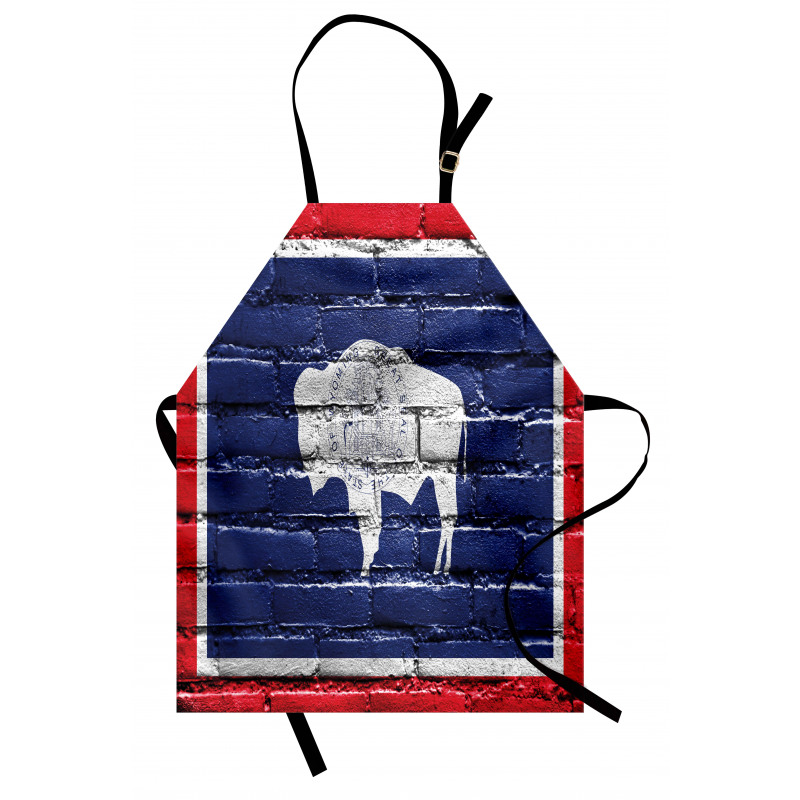 State Flag Paint on Bricks Apron