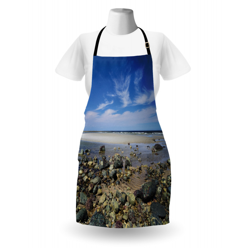 Plum Island Beach Apron