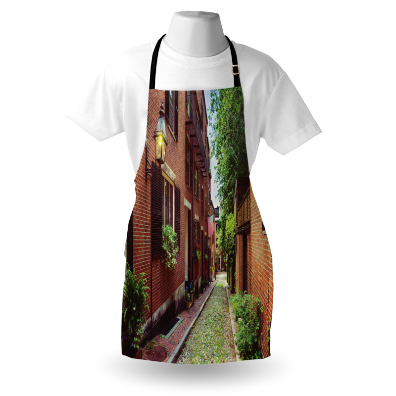 Historic Acorn Street Apron