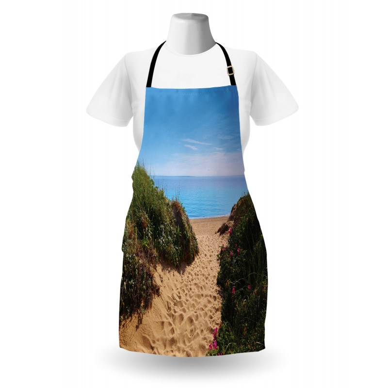 Herring Cove Beach Apron